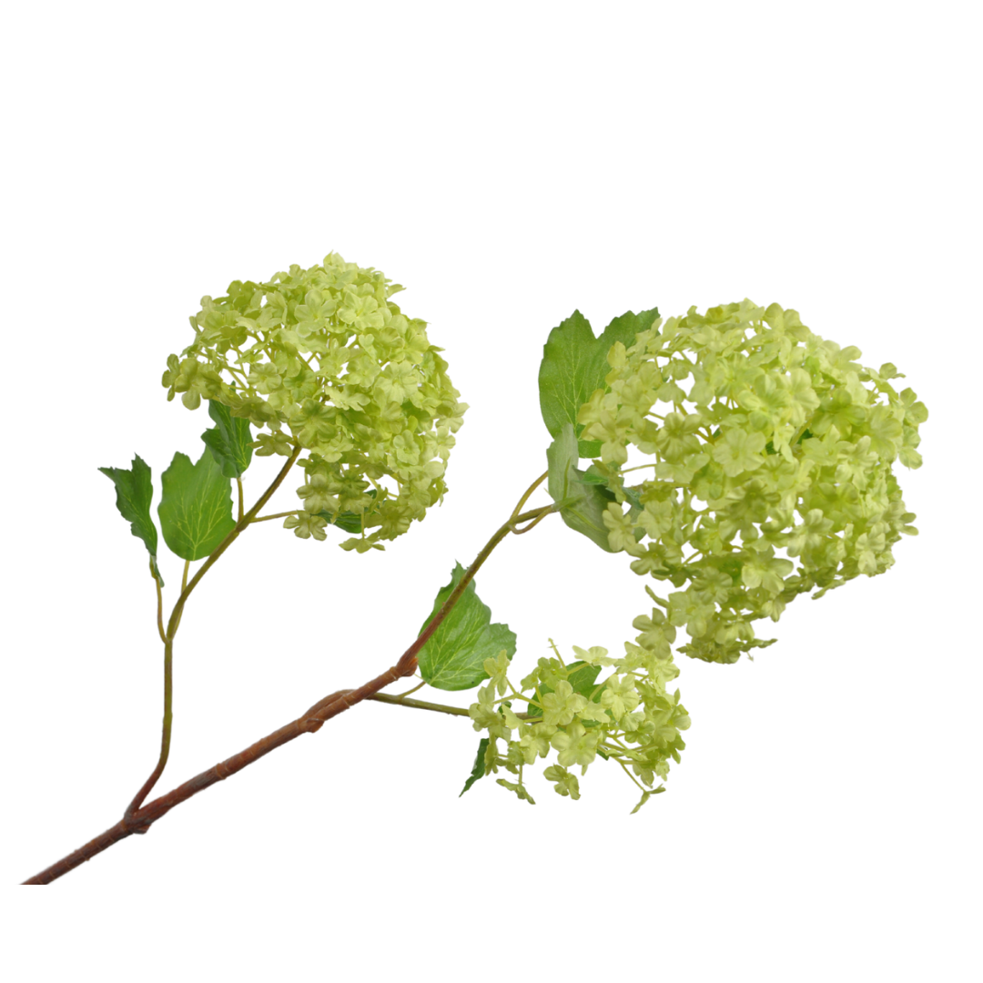 Billede af Silkeblomst Snebolle Virburnum | Grøn | 107 cm